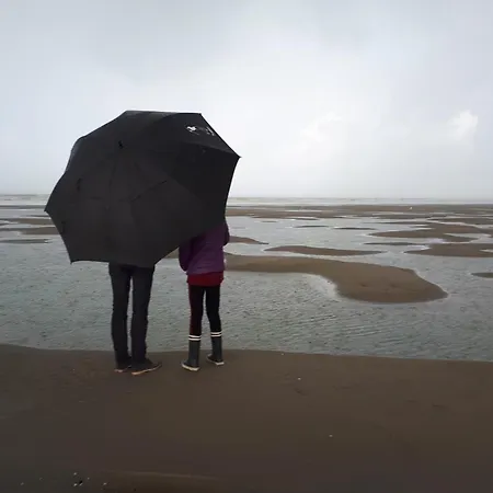 Charme 103 Belle Dune *