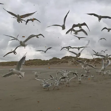 Charme 103 Belle Dune דירה