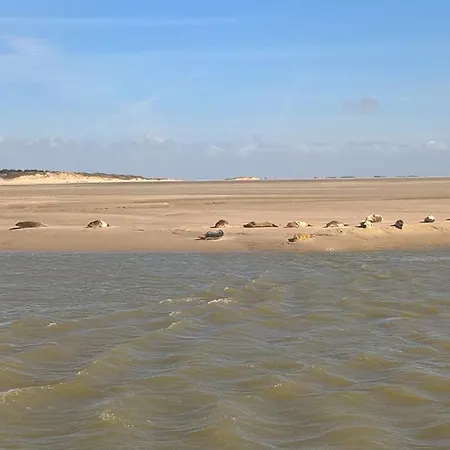 Charme 103 Belle Dune דירה *