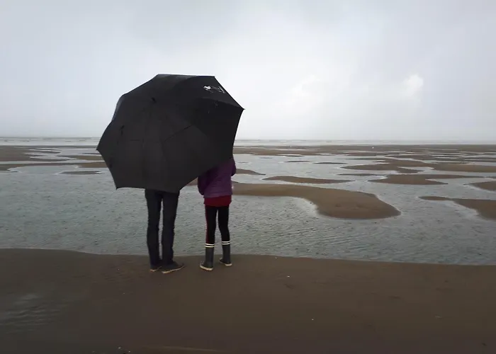 Charme 103 Belle Dune *