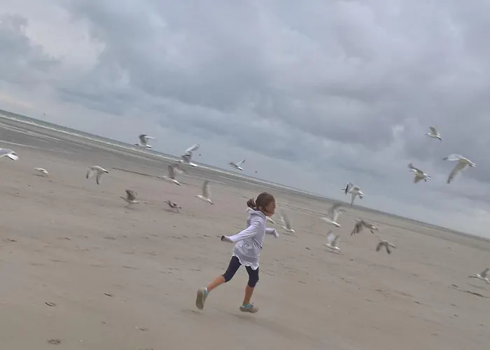 Charme 103 Belle Dune Fort-Mahon-Plage