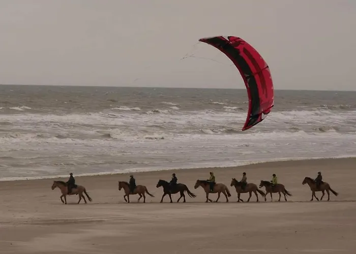 Apartment Charme 103 Belle Dune